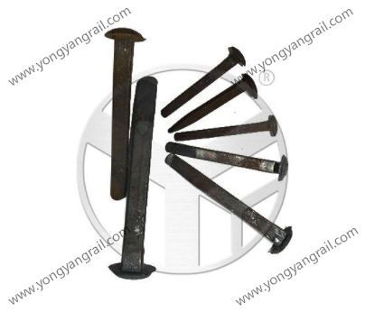 Why Do Railroad Spikes Corrode and How to Prevent it?